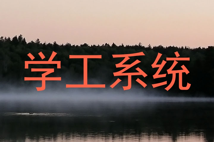 学工系统
