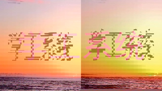 学工系统