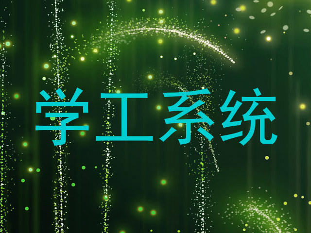 学工系统