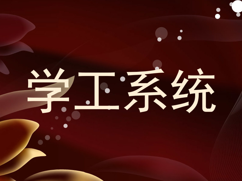 学工系统