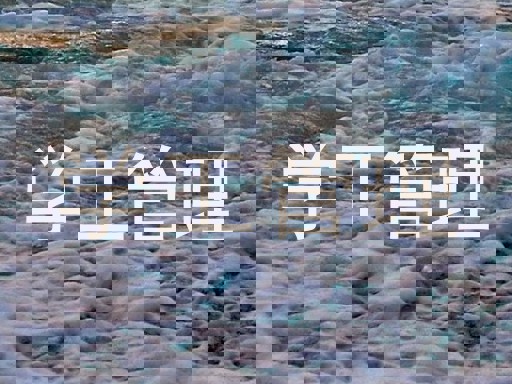 学工管理