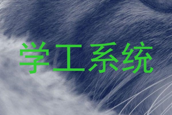 学工系统