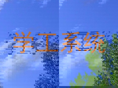 学工系统