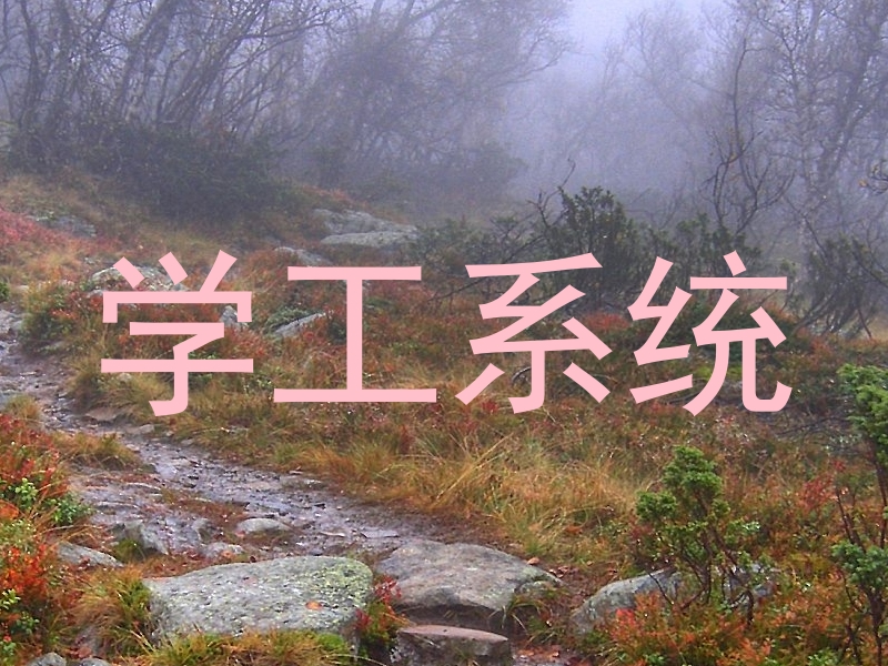 学工系统