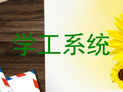 学工系统