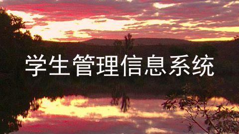 学生管理信息系统