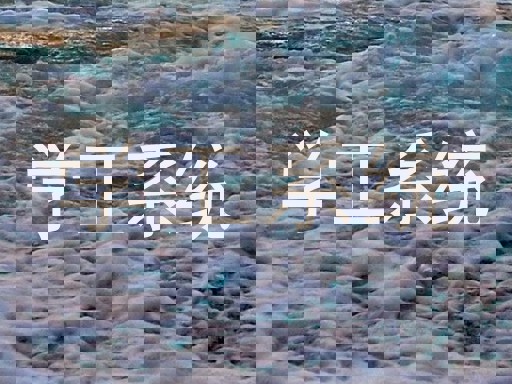 学工系统