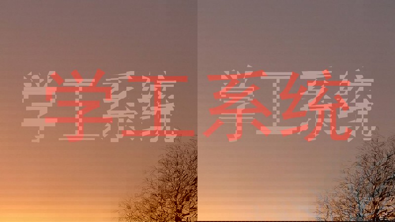 学工系统