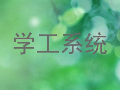 学工系统