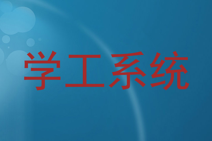 学工系统