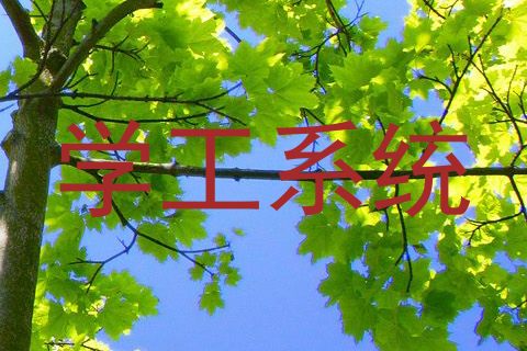 学工系统