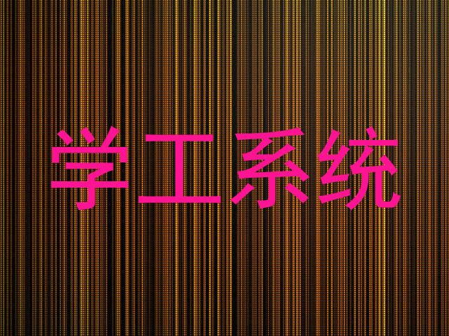 学工系统