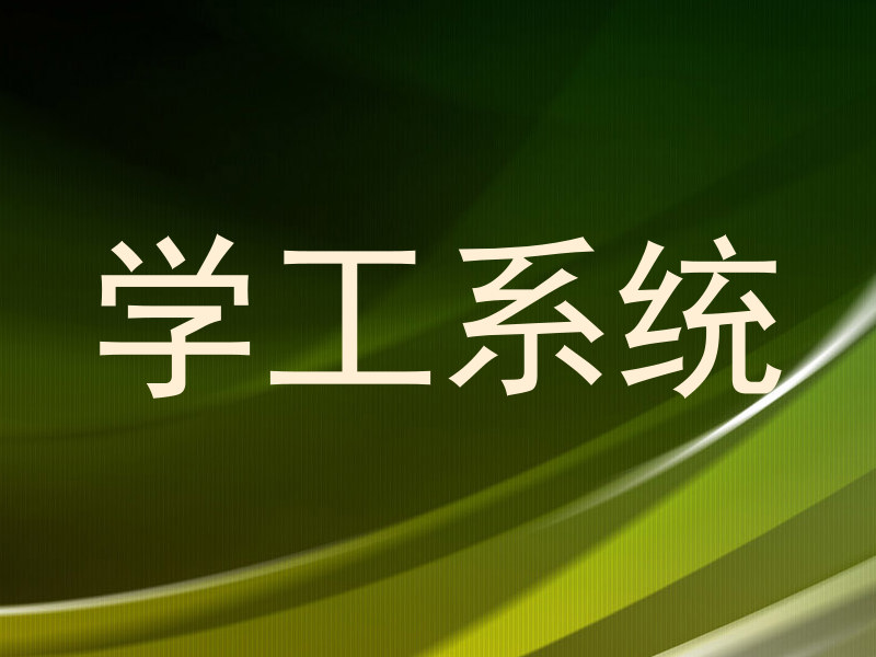 学工系统