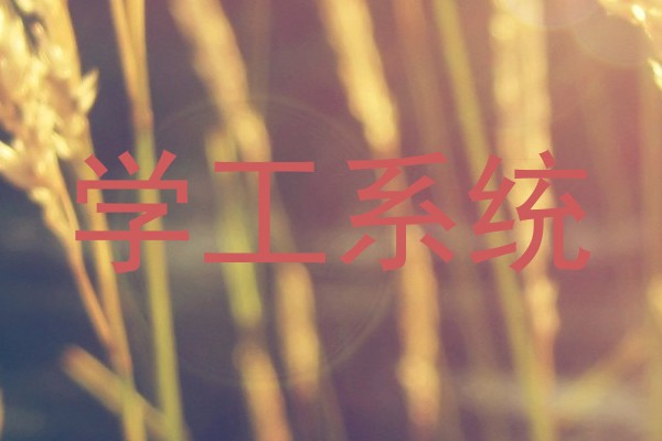 学工系统