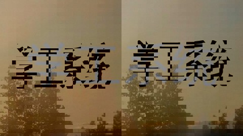 学工系统