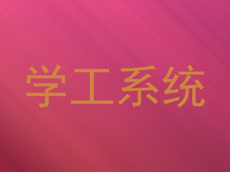 学工系统