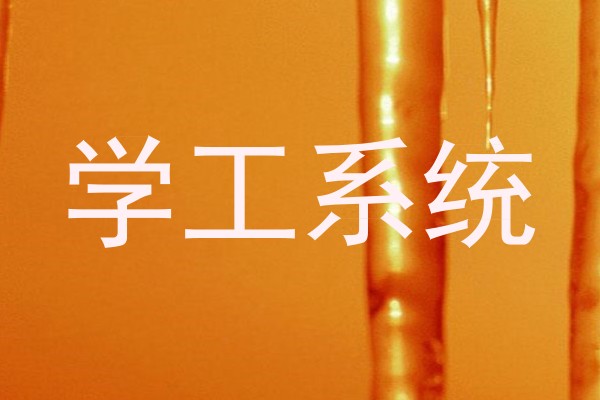 学工系统