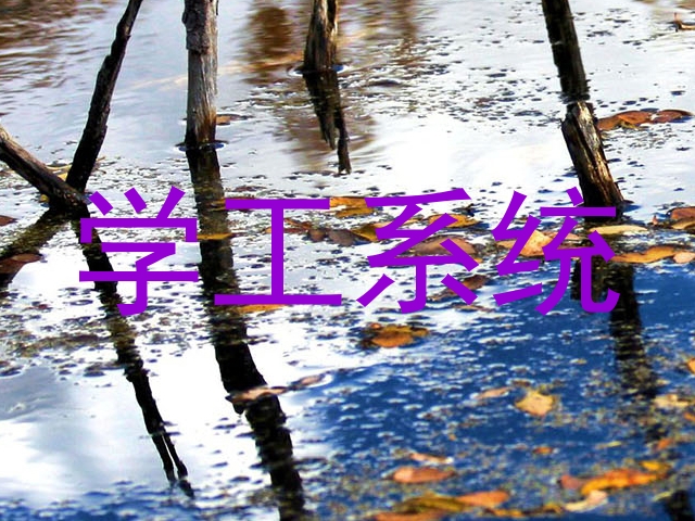 学工系统