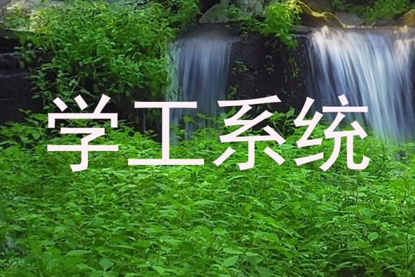 学工系统