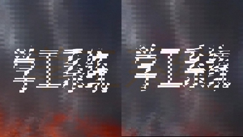 学工系统