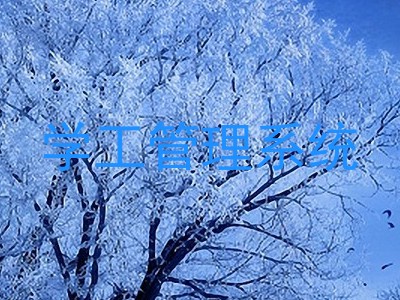 学工管理系统