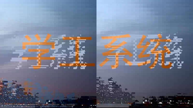 学工系统