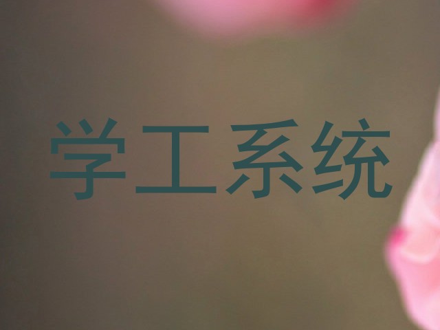 学工系统