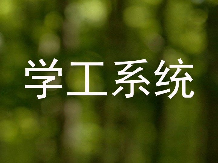 学工系统