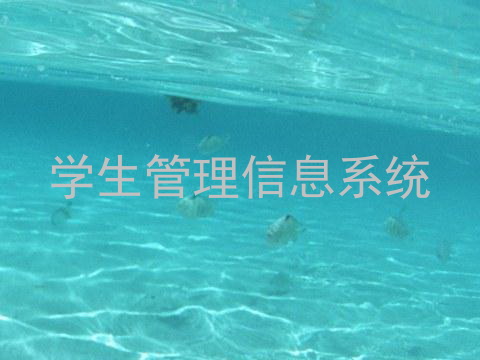 学生管理信息系统