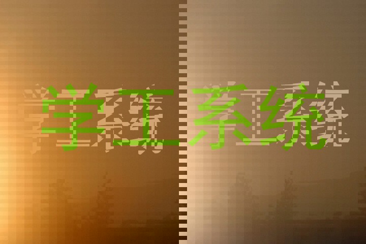 学工系统