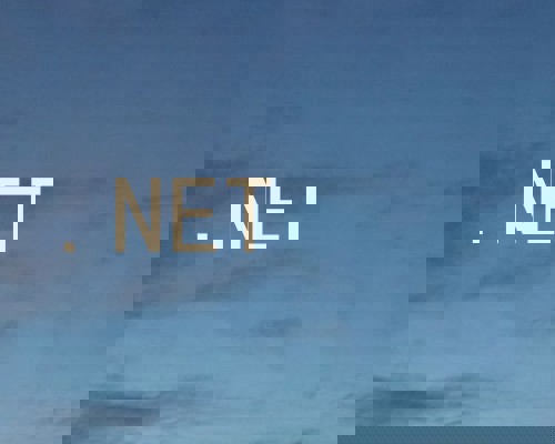 .NET