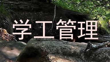 学工管理