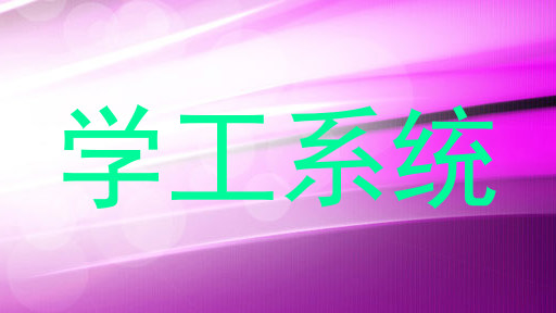学工系统
