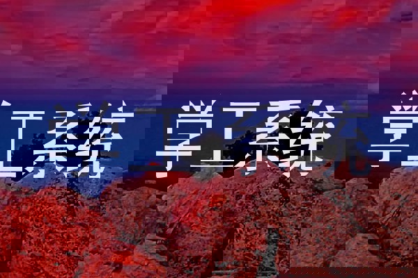 学工系统