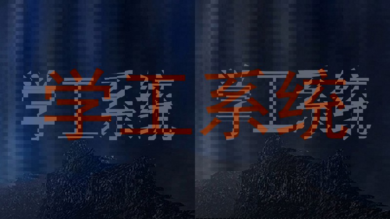 学工系统