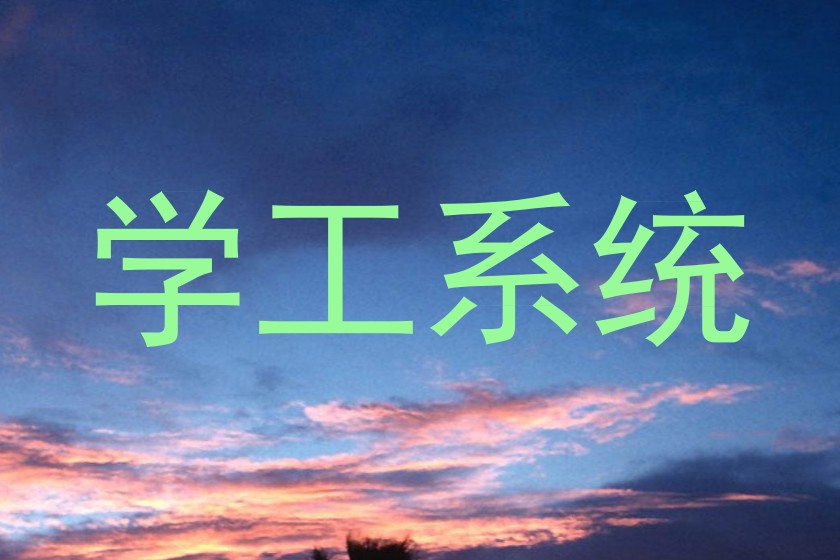 学工系统
