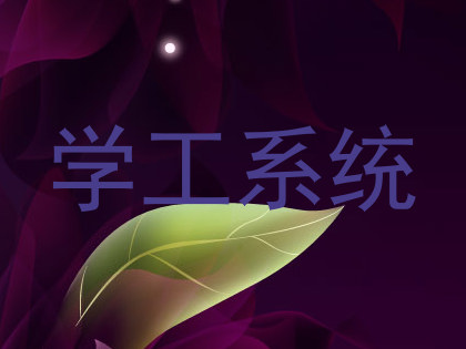 学工系统