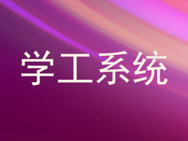 学工系统