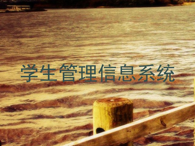 学生管理信息系统
