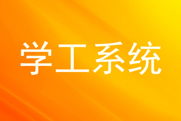 学工系统
