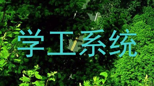 学工系统