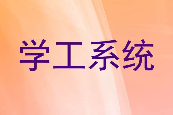 学工系统