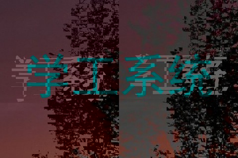 学工系统