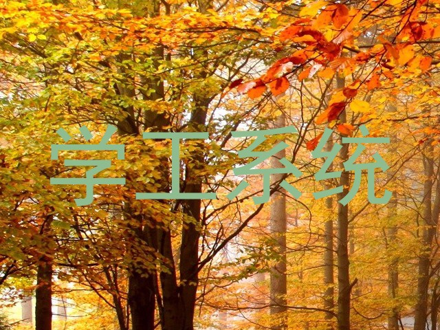 学工系统
