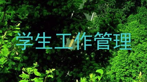 学生工作管理