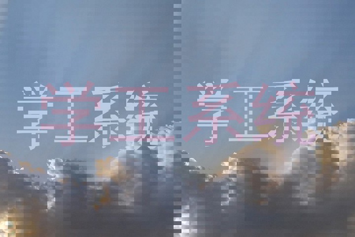 学工系统