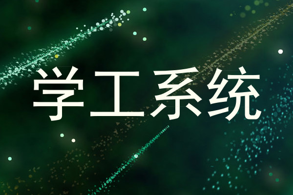 学工系统
