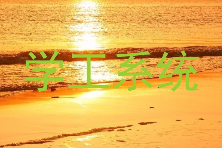 学工系统