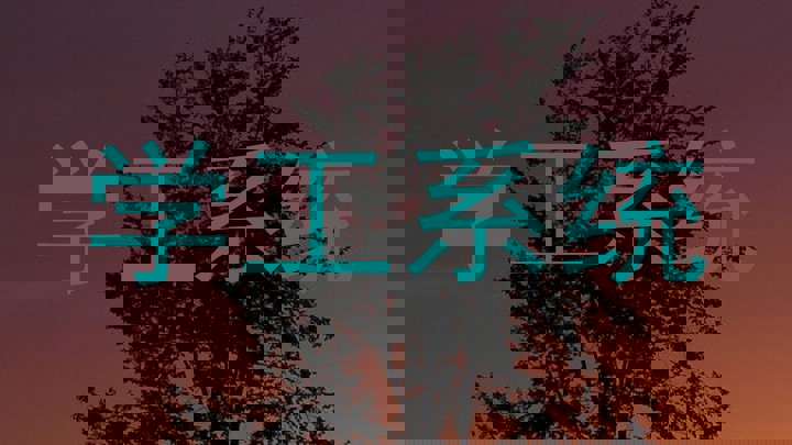 学工系统