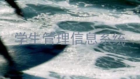学生管理信息系统